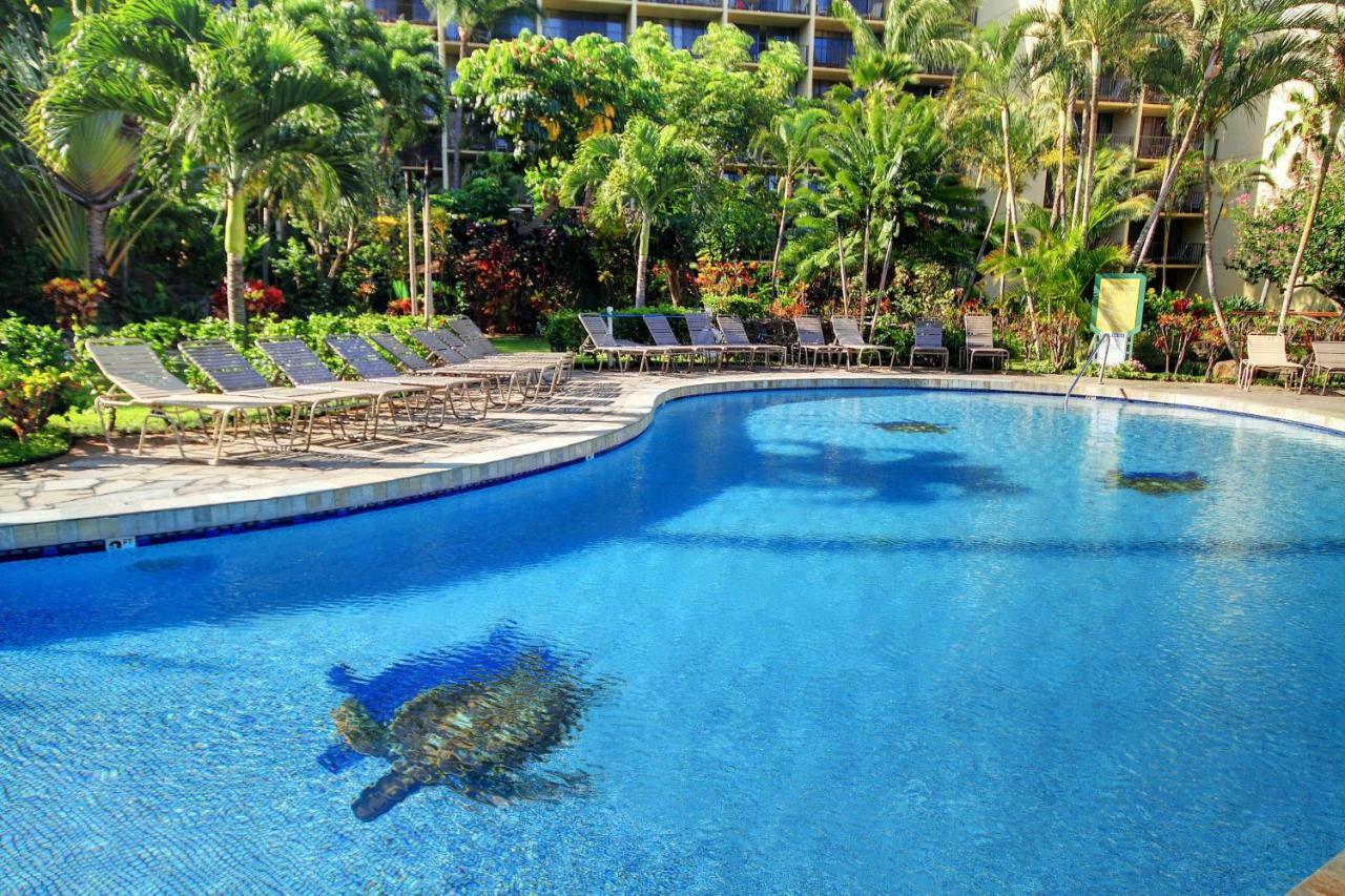 Kaanapali Shores 706 Exteriér fotografie